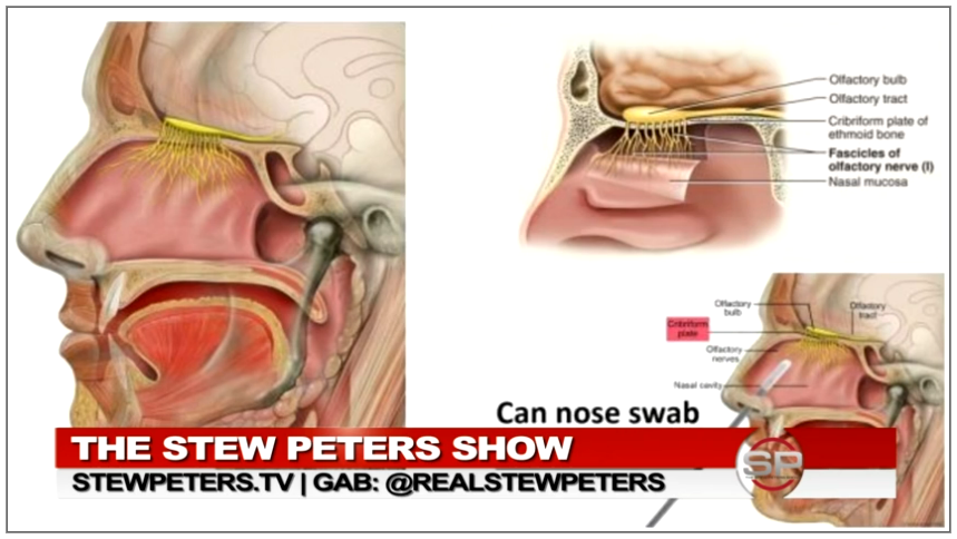 Stew Peters - Jane Ruby - dangerous nasal swab PCR